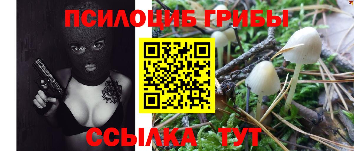 Куйбышев  Псилоцибиновые грибы Cubensis  Вход с VPN  Галлюциногенные грибы ЛСД 
