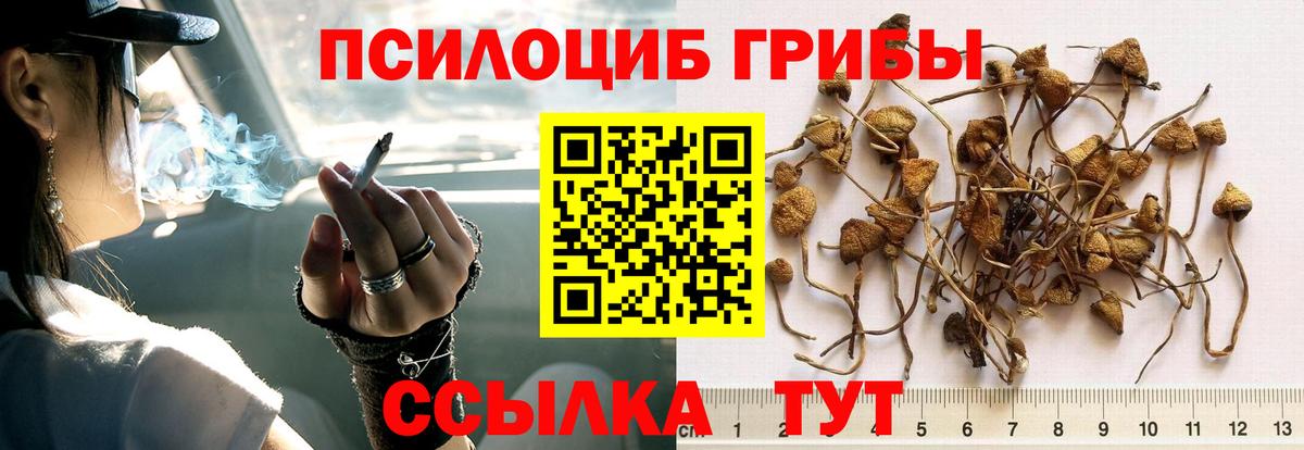 Псилоцибиновые грибы MAGIC MUSHROOMS Куйбышев